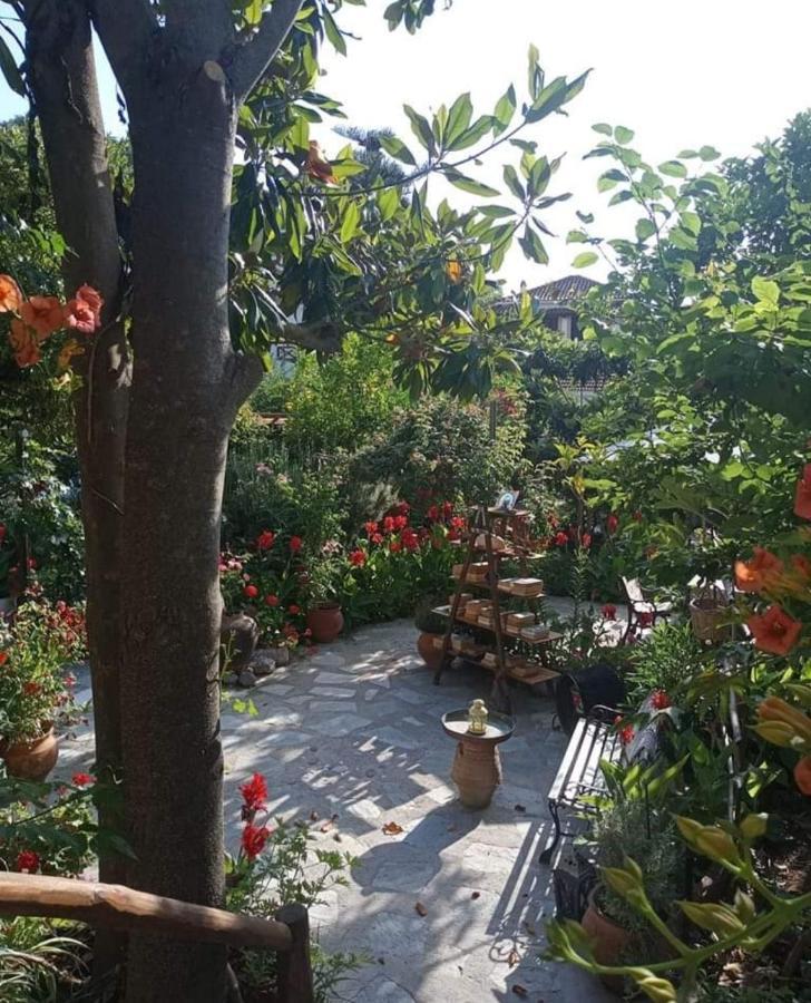 Отель Stamatia'S Garden Agnontas Экстерьер фото