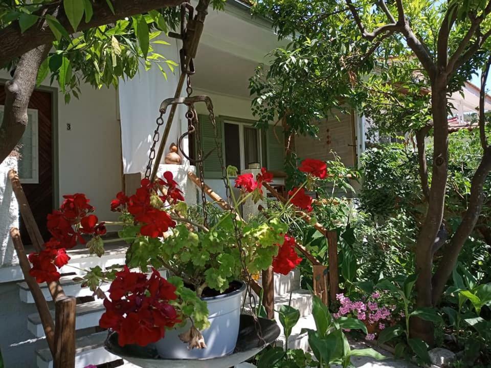 Отель Stamatia'S Garden Agnontas Экстерьер фото